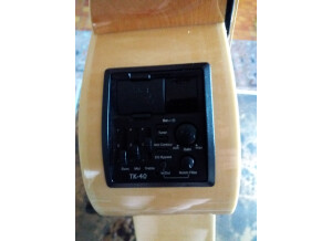 Godin Multiac Nylon SA (54830)