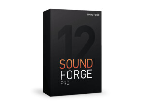 Magix Sound Forge Pro 12 (82904)
