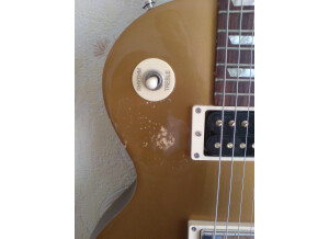 Gibson LPJ - Rubbed Gold Top/Dark Back (51885)