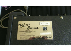 Fender Blues Junior (68407)