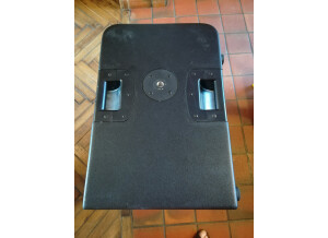 Line 6 StageSource L3s (1795)