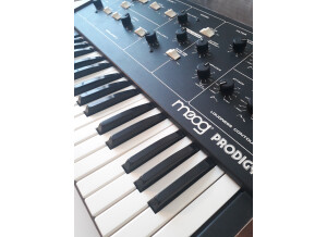 Moog Music Prodigy (50611)