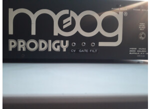 Moog Music Prodigy (9871)