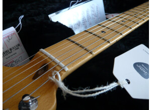 Fender The Edge Strat (65013)