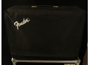 Fender '65 Twin Reverb [1992-Current] (6856)