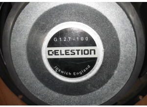 Celestion G12T-100
