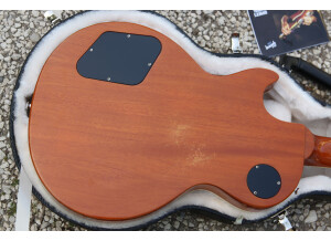 Gibson Les Paul Classic Custom 2011 - Antique Natural (48457)