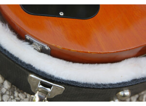 Gibson Les Paul Classic Custom 2011 - Antique Natural (79066)