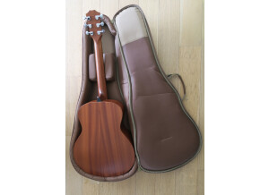 Taylor GS Mini (Mahogany Top) (43297)