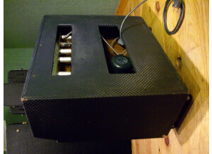 Ampeg Gemini 1