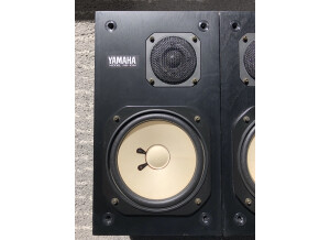 Yamaha NS-10M Studio (81653)