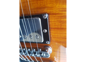 Schecter Tempest Custom (56786)