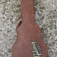 Les Paul Standard (2014) Les Paul Standard (2014)