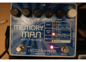 Electro-Harmonix Stereo Memory Man with Hazarai (74233)