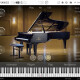 Synchron Yamaha CFX Synchron Yamaha CFX