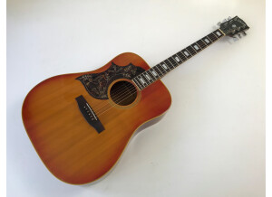 Gibson Hummingbird Custom (13843)