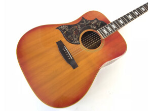 Gibson Hummingbird Custom (88937)