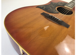Gibson Hummingbird Custom (71939)