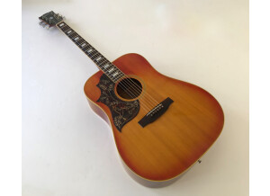 Gibson Hummingbird Custom (72673)