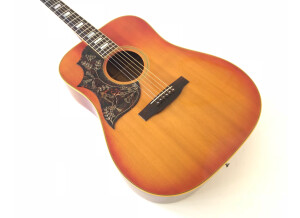 Gibson Hummingbird Custom (66850)