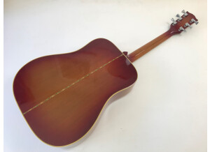 Gibson Hummingbird Custom (63021)