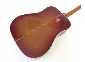 Gibson Hummingbird Custom (70087)