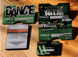 Roland M-256E (50784)