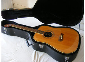 Tacoma Guitars DR20 (84762)