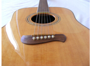Tacoma Guitars DR20 (35399)