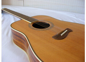 Tacoma Guitars DR20 (44063)