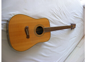 Tacoma Guitars DR20 (36663)