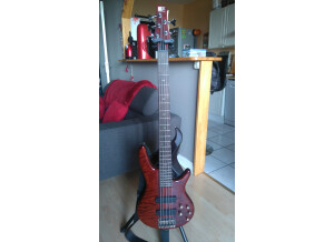 Ibanez SR905 (48381)