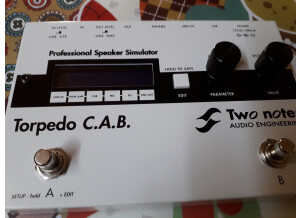 Two Notes Audio Engineering Torpedo C.A.B. (Cabinets in A Box) (83173)