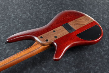 Ibanez SR870 : SR870 DTF 1P 01 CU Body Back Ibanez SR870 : SR870 DTF 1P 01 CU Body Back