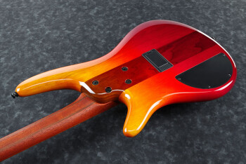 Ibanez SR870 : SR870 ALG 1P 01 CU Body Back Ibanez SR870 : SR870 ALG 1P 01 CU Body Back