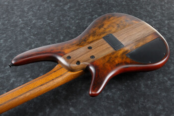 Ibanez SR875 : SR875 BTF 1P 01 CU Body Back Ibanez SR875 : SR875 BTF 1P 01 CU Body Back
