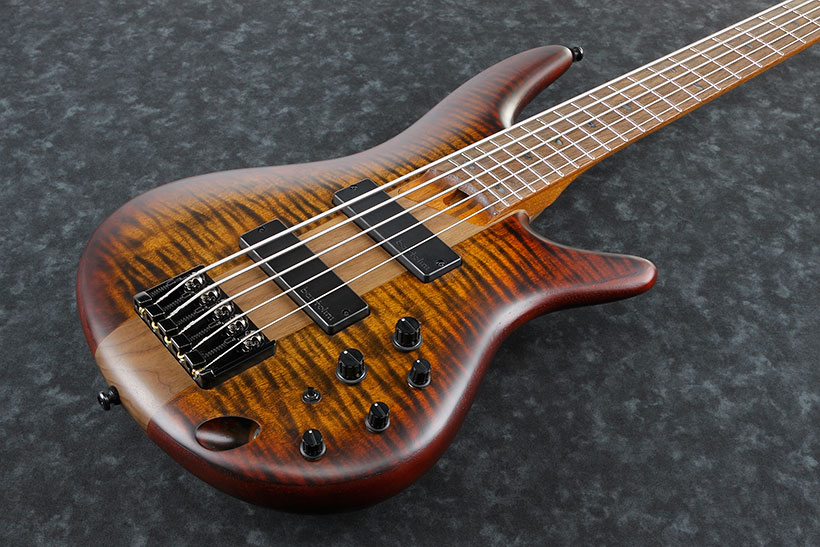 Ibanez SR875 : SR875 BTF 1P 01 CU Body Top