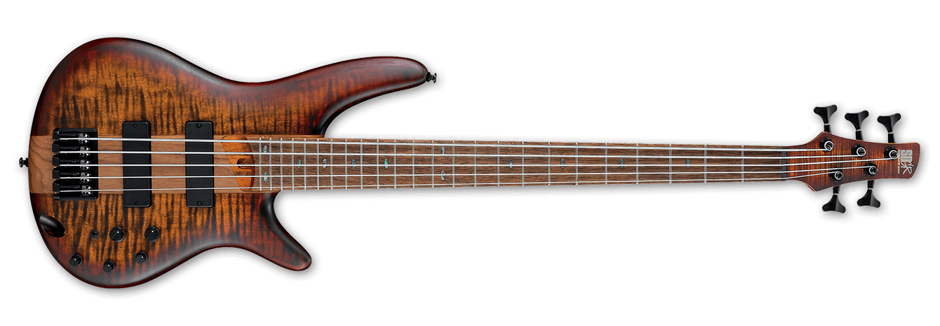 Ibanez SR875 : SR875 BTF 1P 01