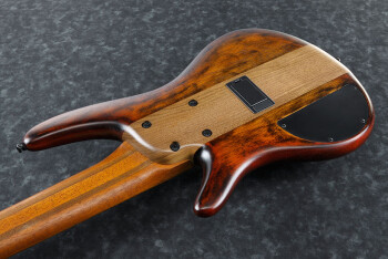 Ibanez SR876 : SR876 BTF 1P 01 CU Body Back Ibanez SR876 : SR876 BTF 1P 01 CU Body Back