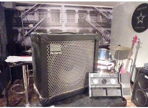 Roland Cube-30 (57379)