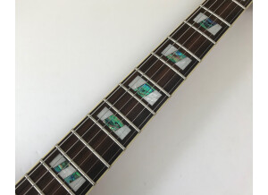 Ibanez DT520FM (3833)