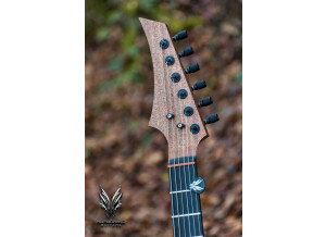 Hufschmid Guitars H6E (70490)