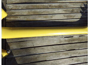 Orville Les Paul Jr TV (88825)