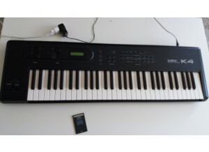 Korg Triton Taktile 49 (95367)