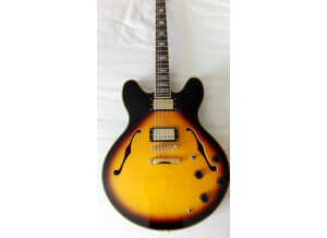 Sx Guitars GG6 Custom Semi-Hollow (36770)