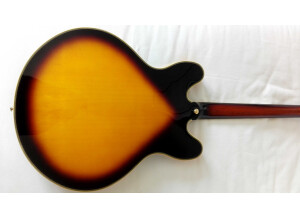Sx Guitars GG6 Custom Semi-Hollow (56461)