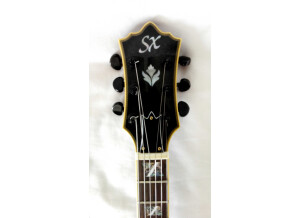 Sx Guitars GG6 Custom Semi-Hollow (24786)