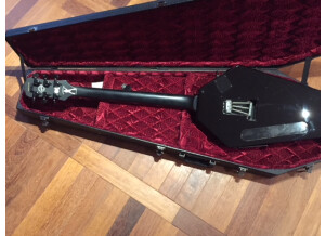 Epiphone Zakk Wylde Graveyard Disciple (30636)