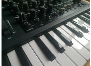 Arturia MicroBrute (50242)
