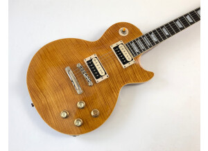 Epiphone Slash Appetite Les Paul Standard (19398)